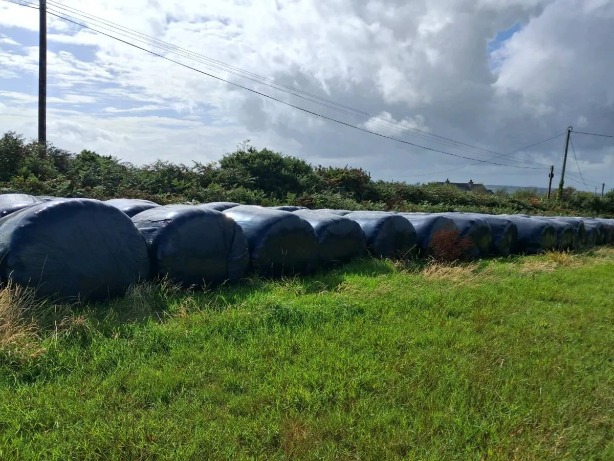 Silage Bales for sale also quicke loader - Image 2