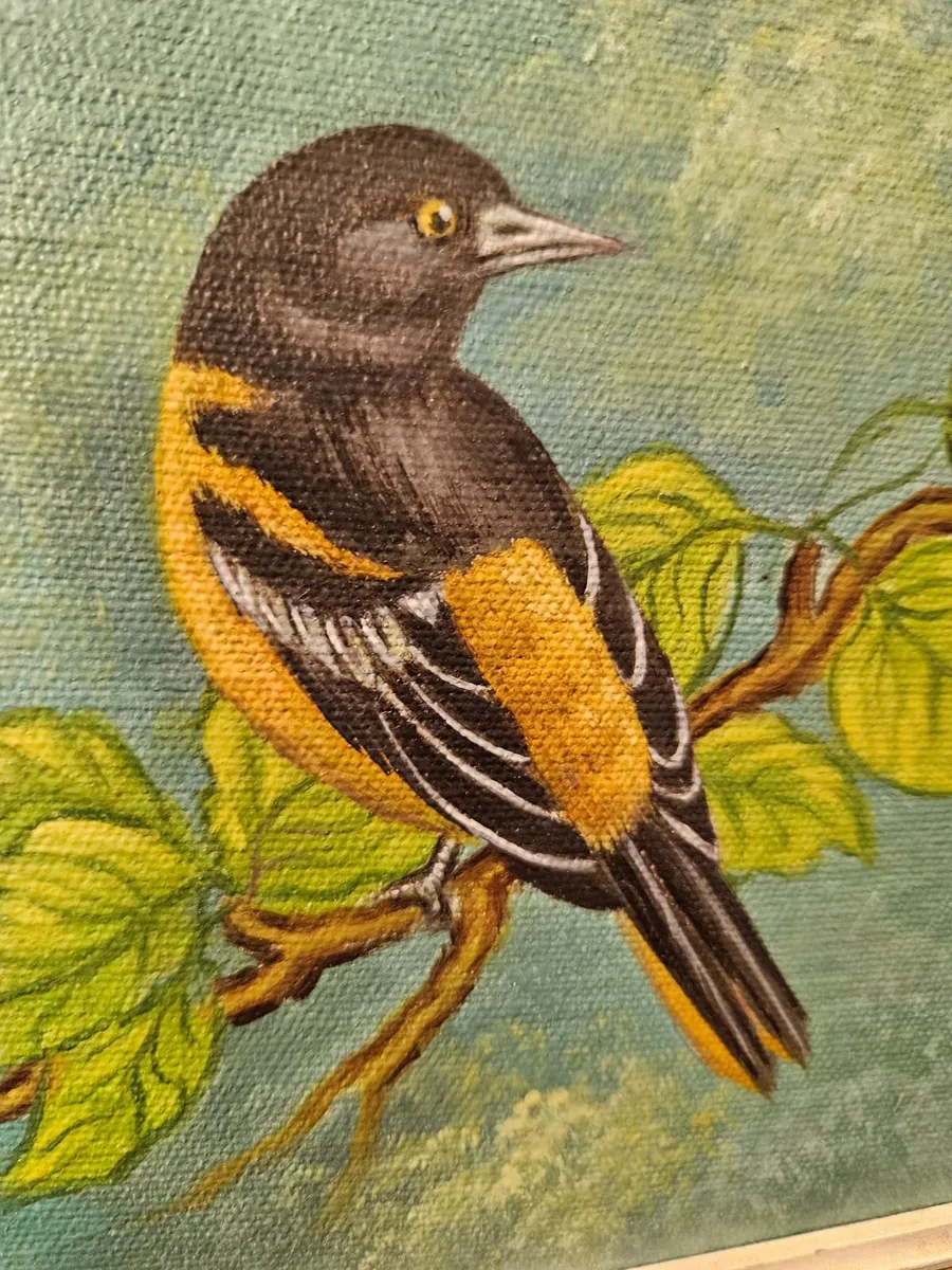 Picture Oil on Canvas Bower Bird - Image 2