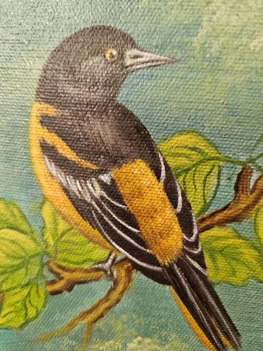 Picture Oil on Canvas Bower Bird - Image 3
