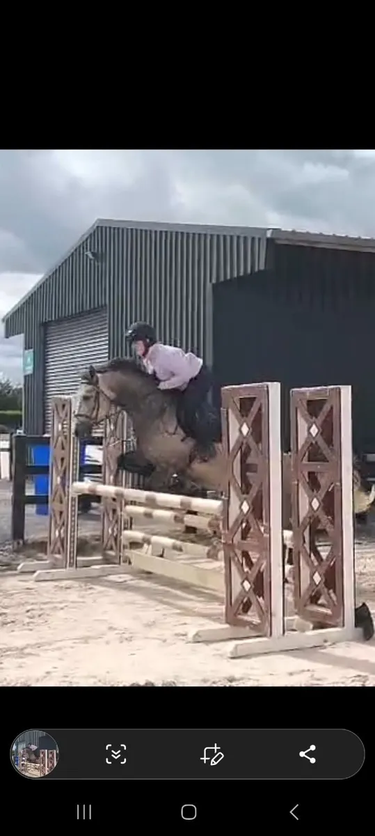 Pony - Image 1