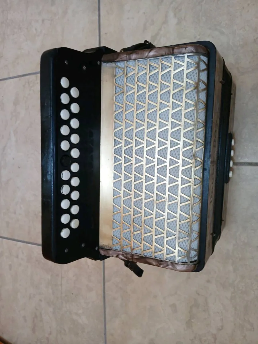 Button accordion - Image 3