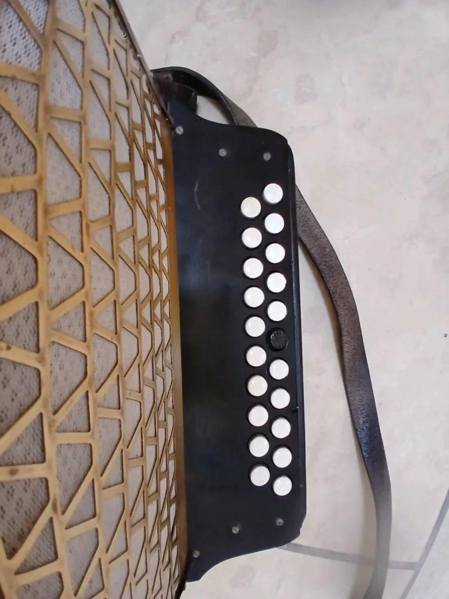 Button accordion - Image 1