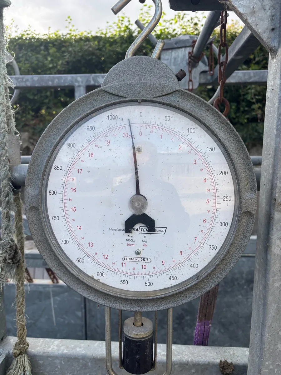 Hoof create - Image 2