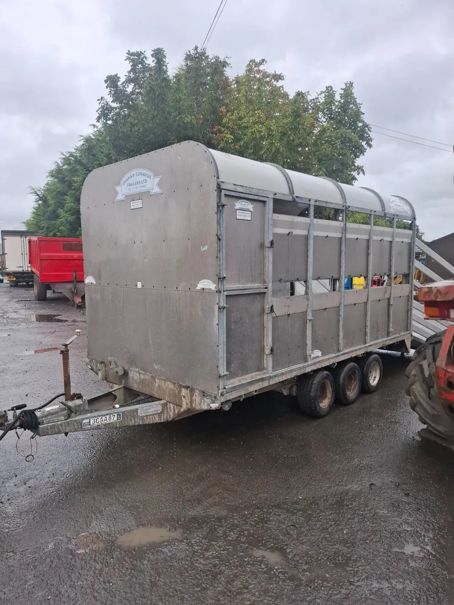 12"x6'6" Cattle Trailer - Image 2