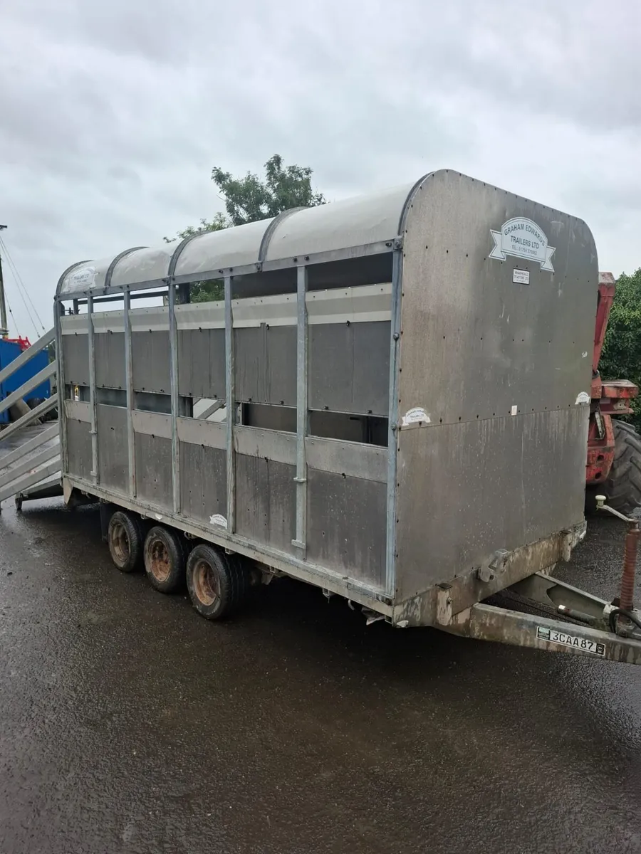 12"x6'6" Cattle Trailer - Image 1