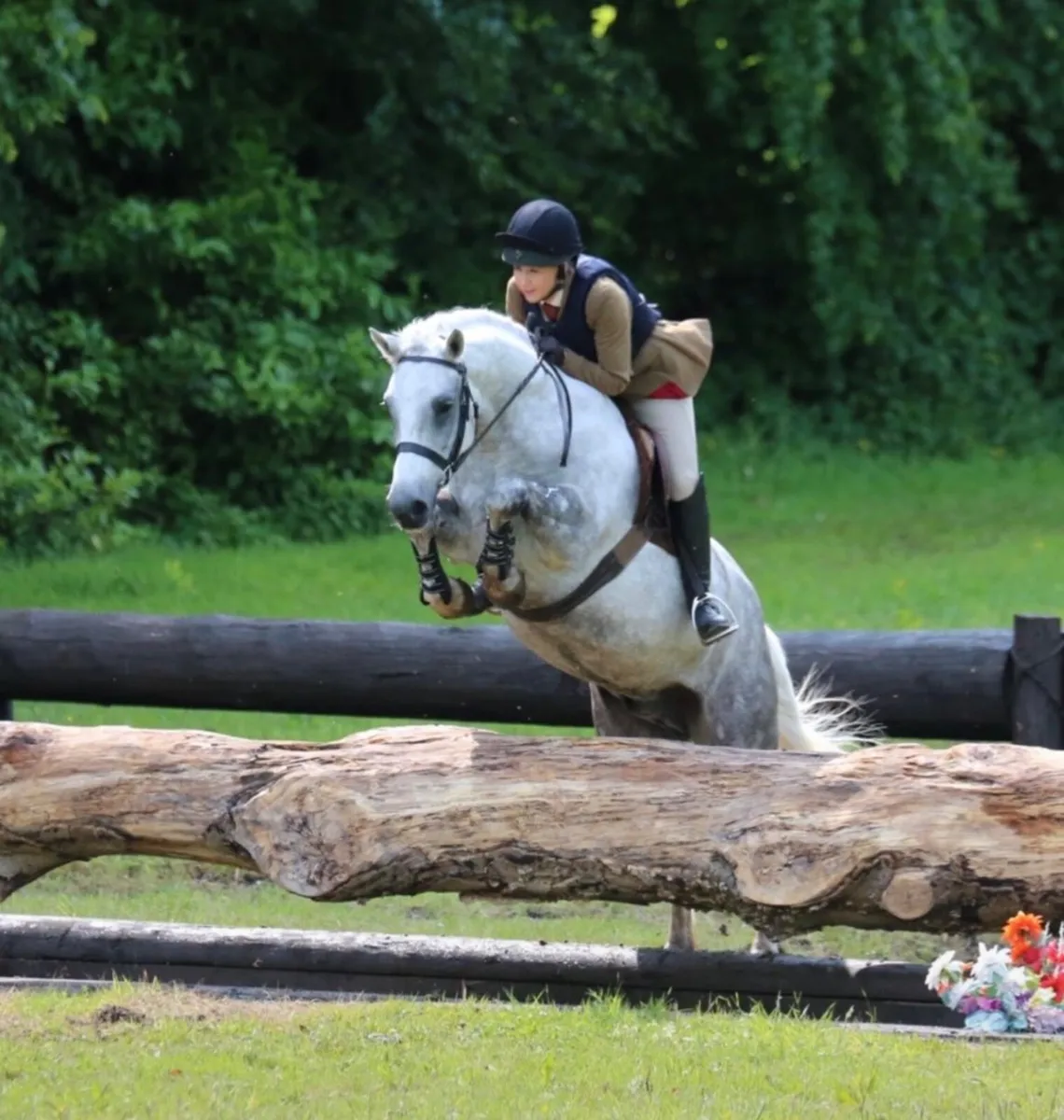 Top Class Connemara Gelding - Image 3