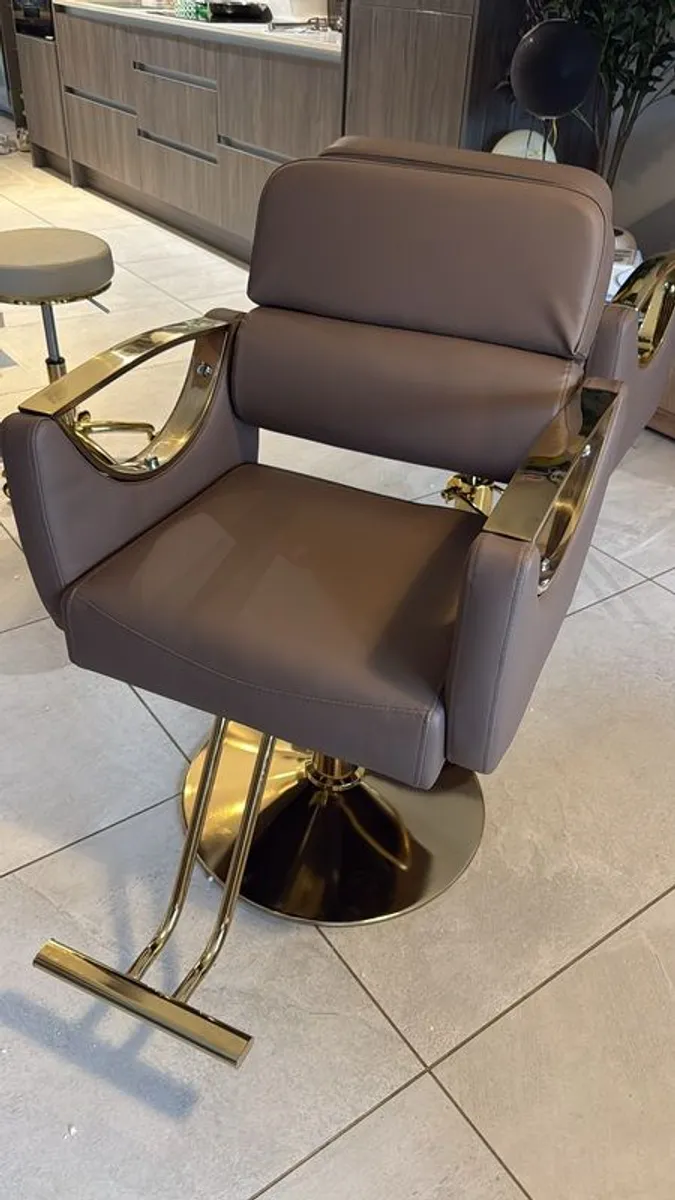 Salon Chair - Image 1