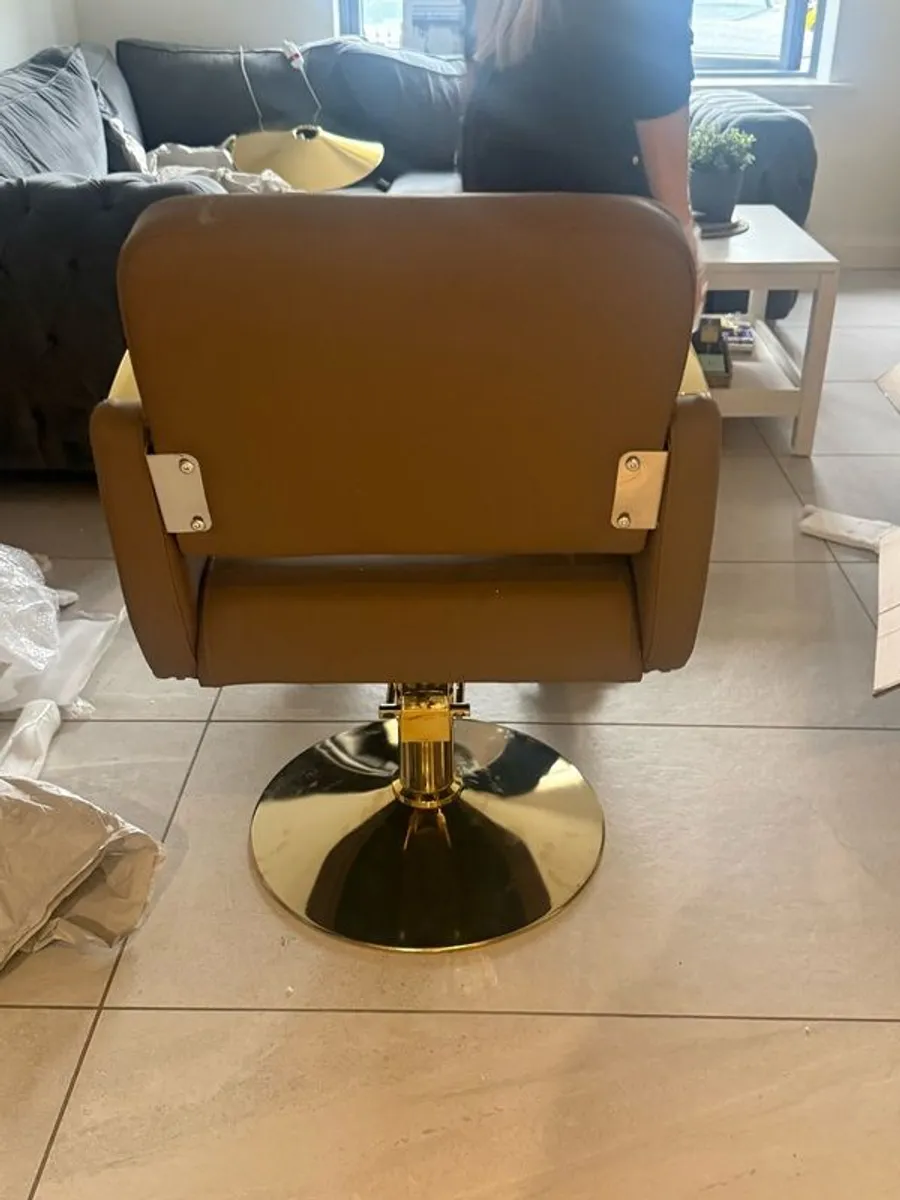 Salon Chair - Image 2