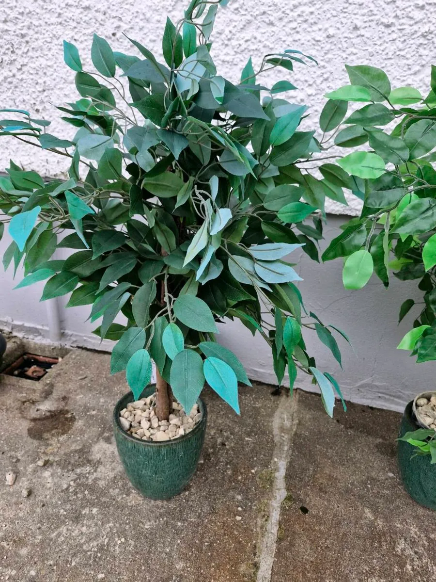 Artificial plants - Image 3