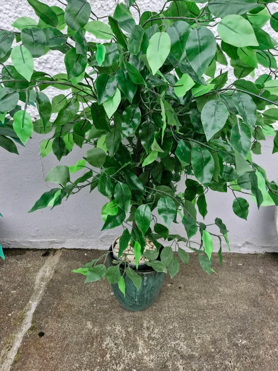Artificial plants - Image 2