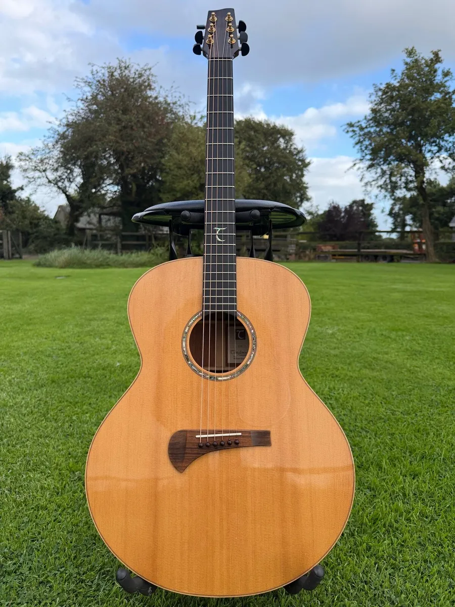 Tanglewood TSM-3 MasterDesign - Michael Sandén - Image 1