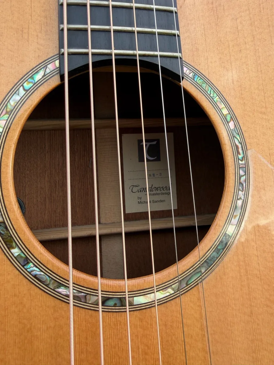 Tanglewood TSM-3 MasterDesign - Michael Sandén - Image 2