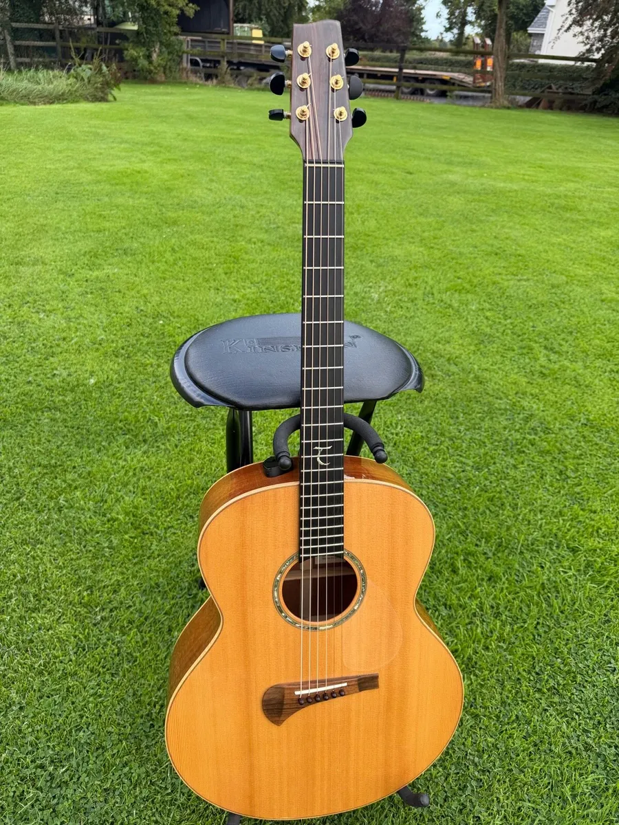 Tanglewood TSM-3 MasterDesign - Michael Sandén - Image 4