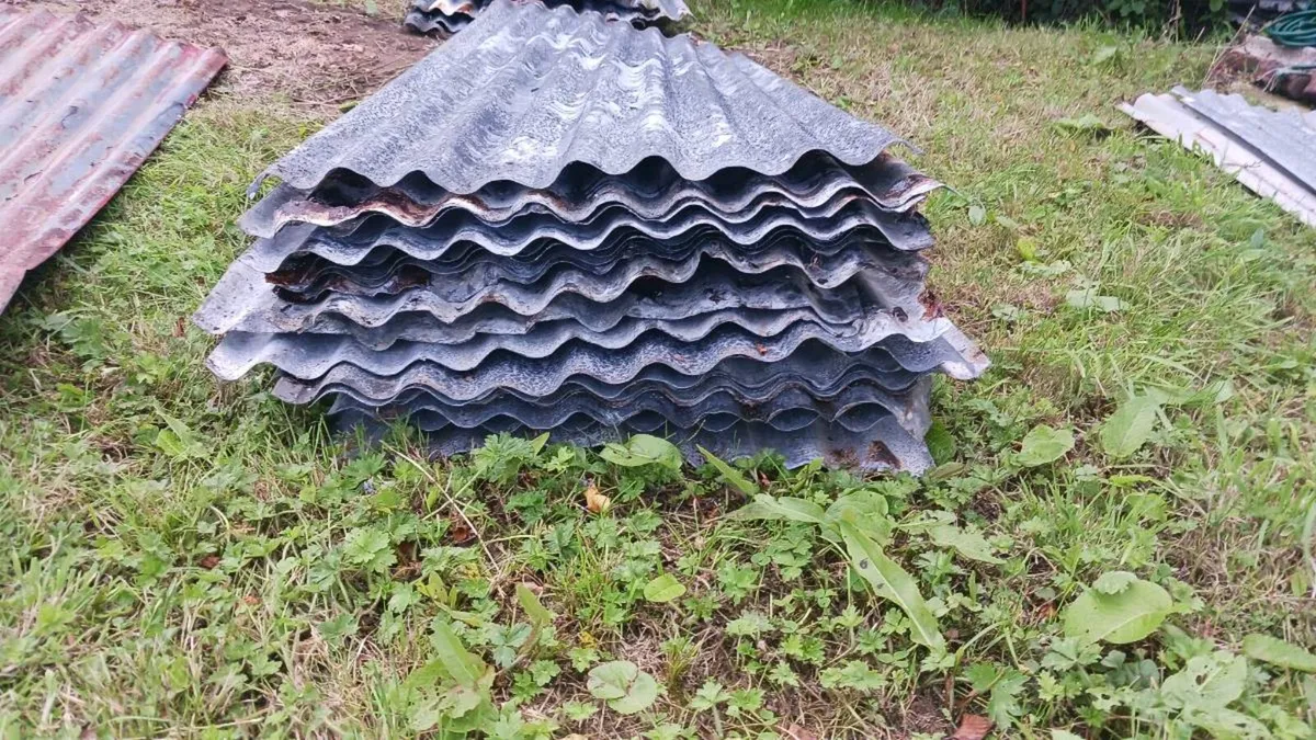 Galvanised iron sheets 6ft and 8ft (used) - Image 1