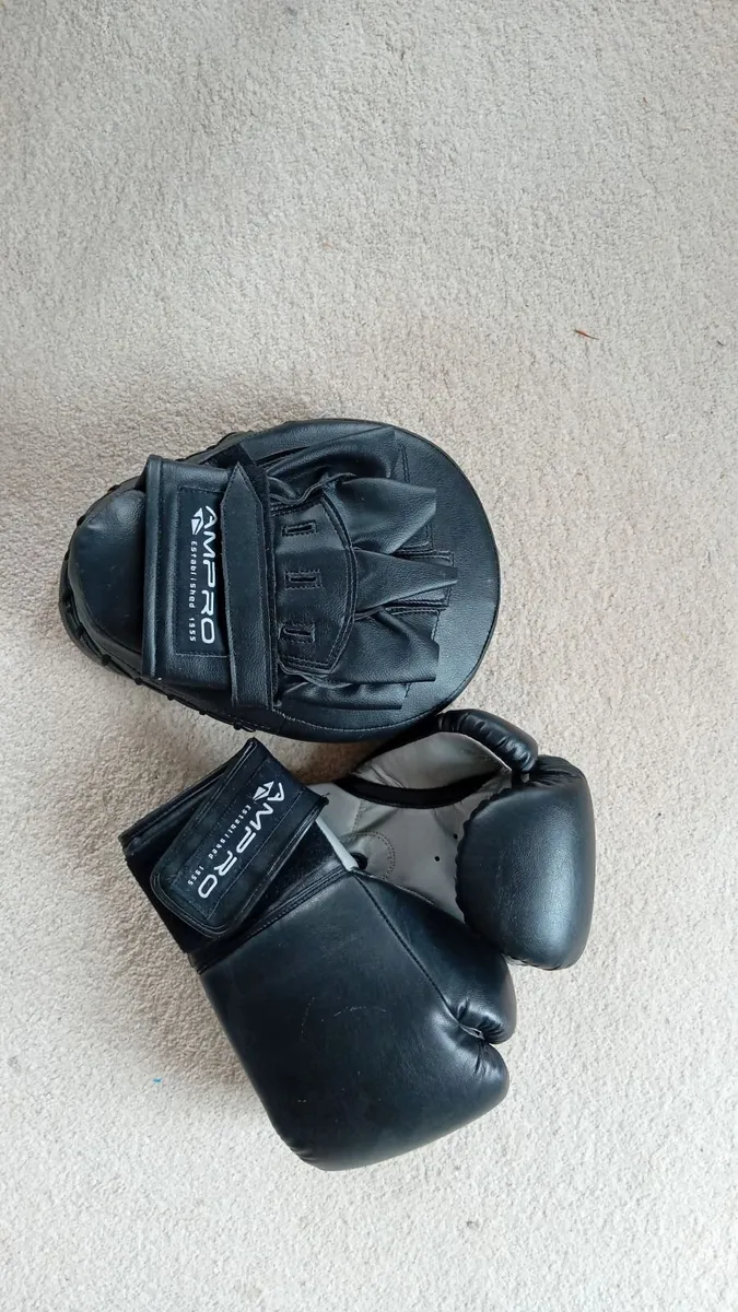 Boxing gloves - Image 1