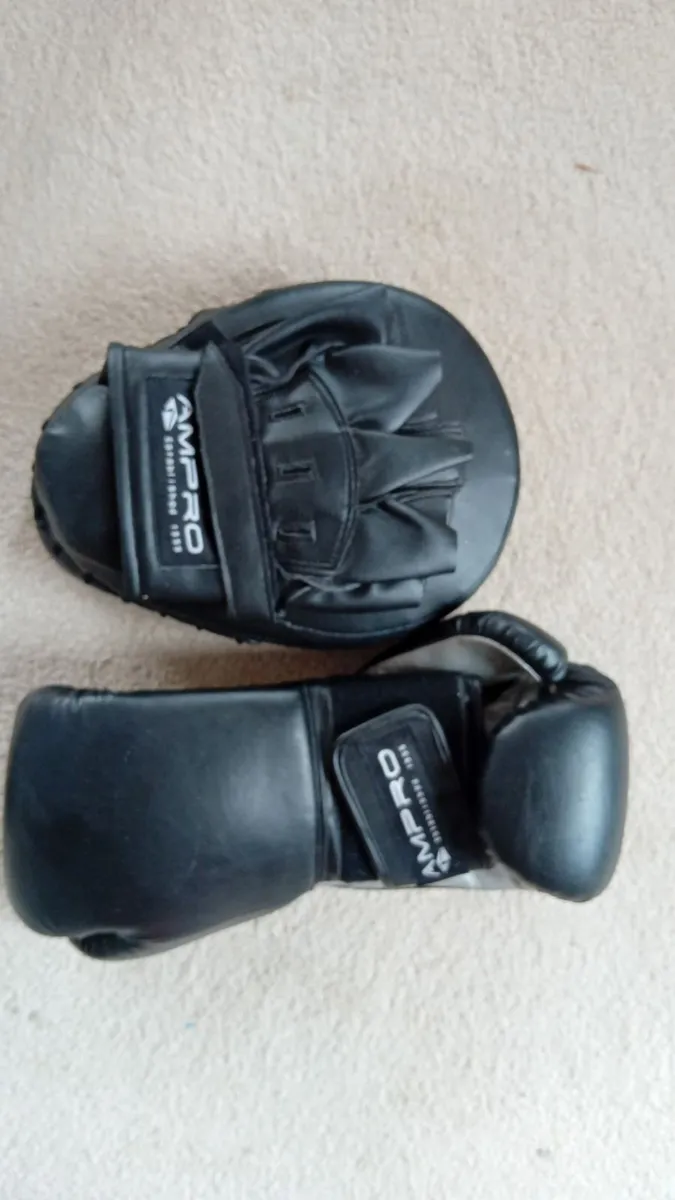 Boxing gloves - Image 2