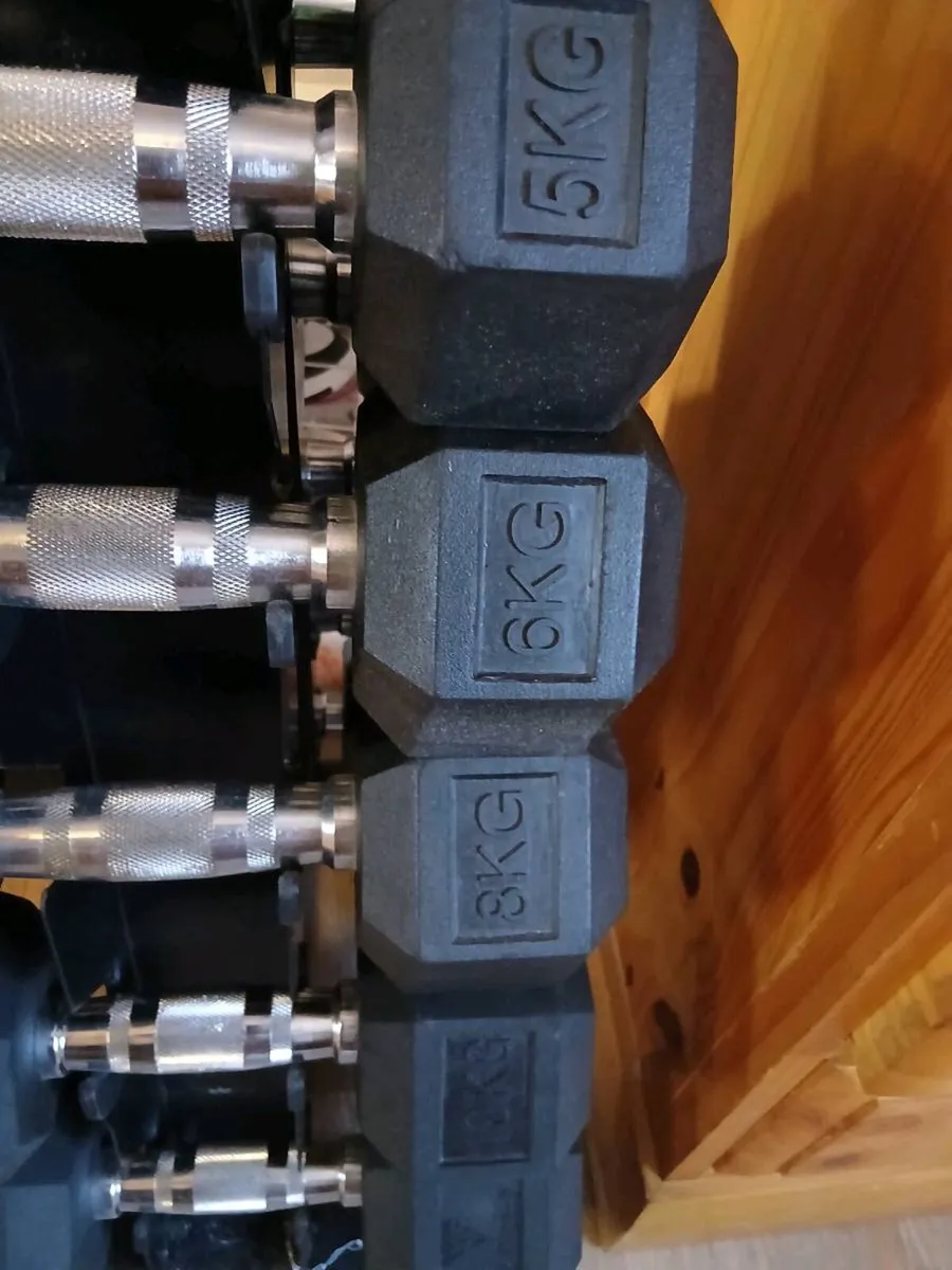 Dumbbells - Image 3