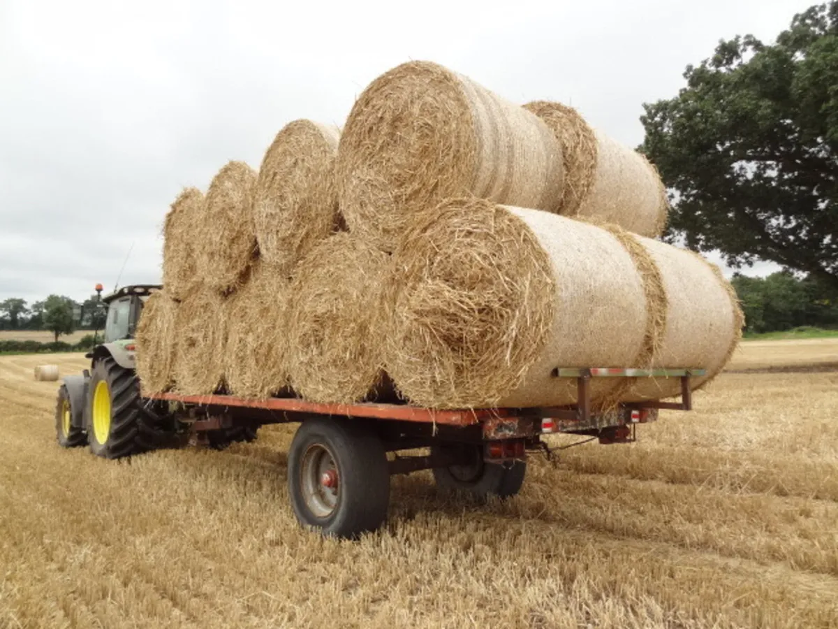 20FT Flat Bale Trailer - Image 2