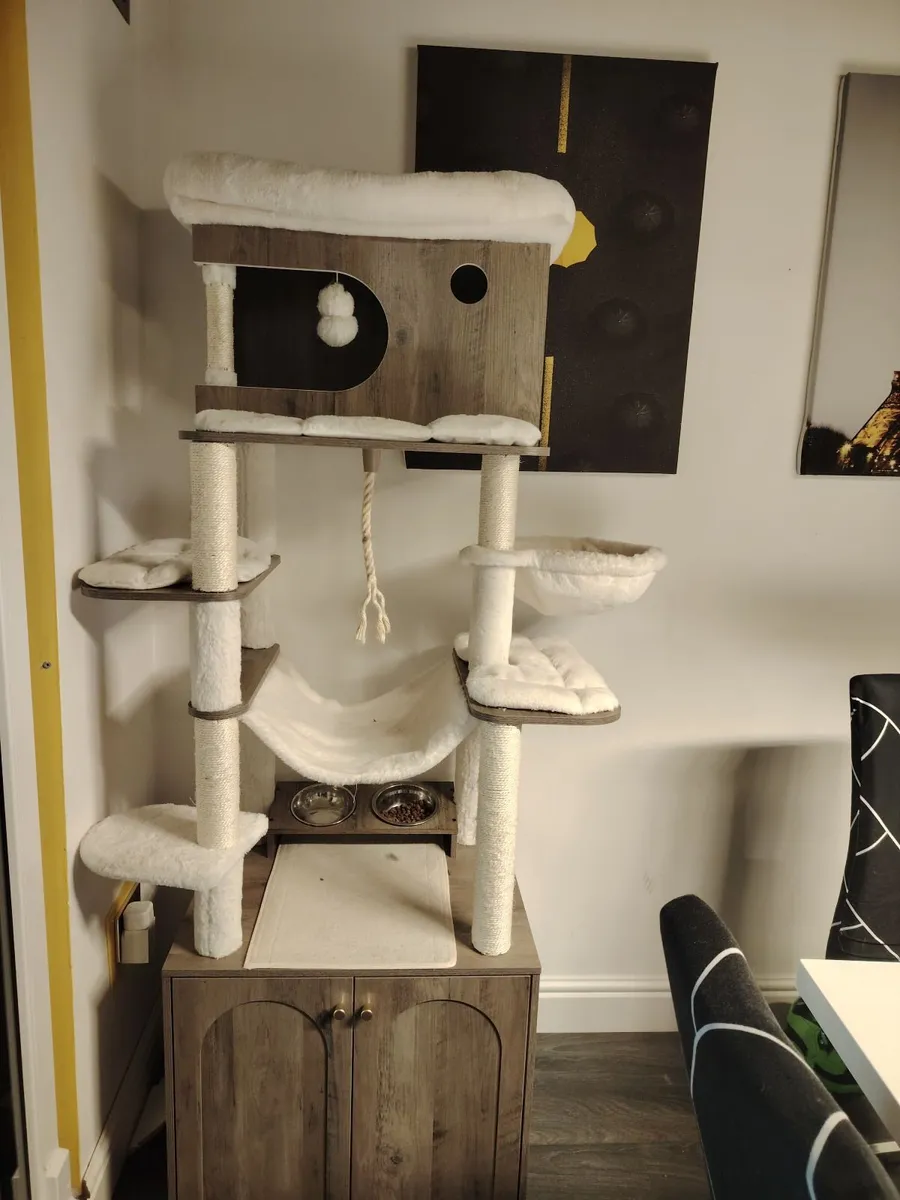 Cat boarding and sitting services - Image 2