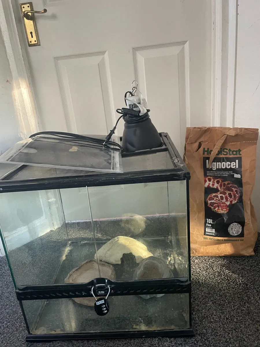reptile vivarium - Image 1