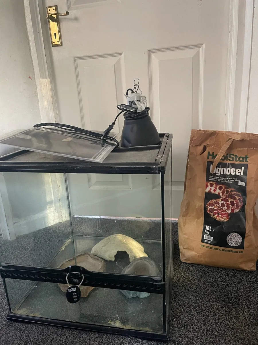 reptile vivarium - Image 2