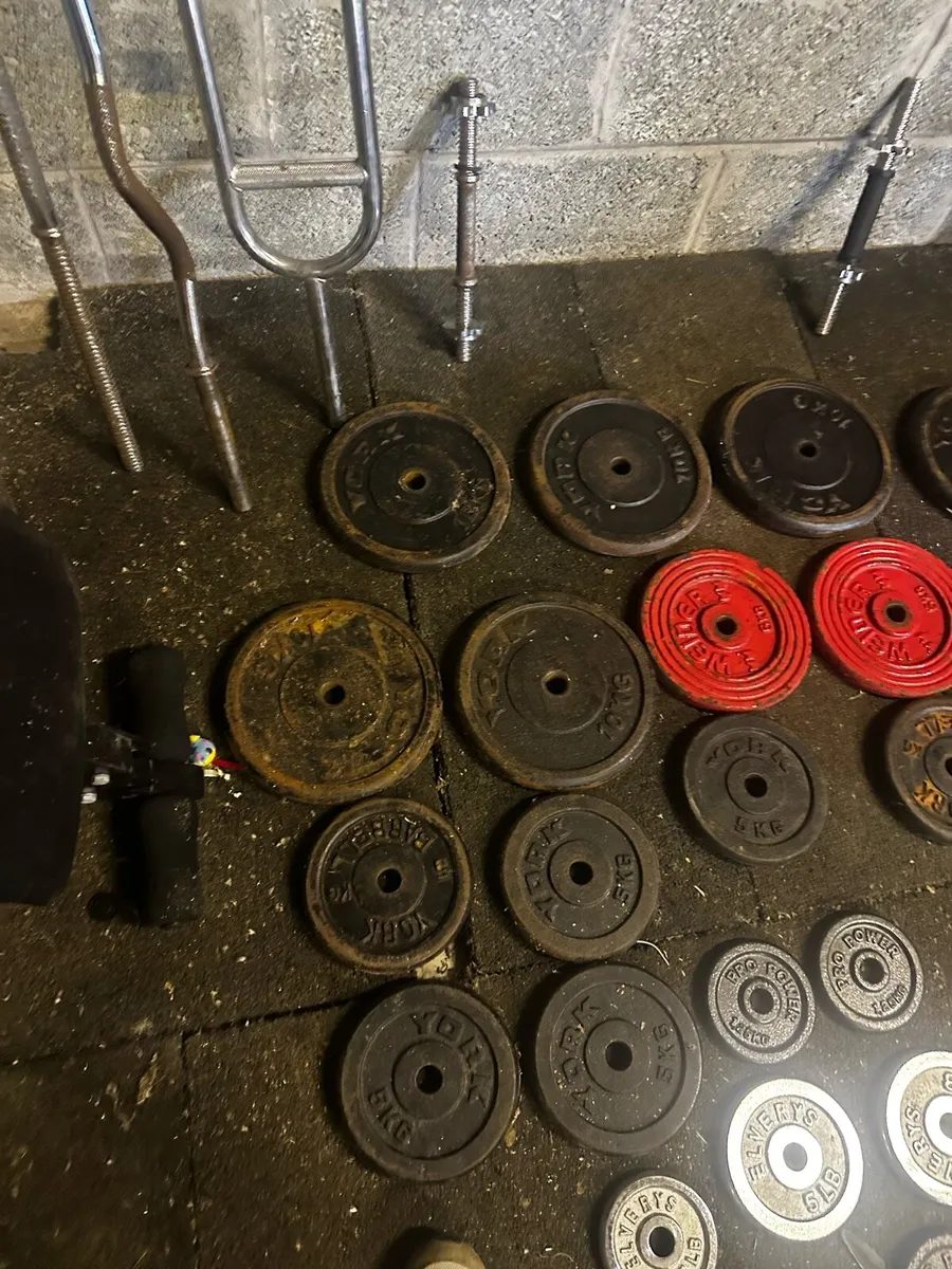 Weights and gym equipment - Image 1