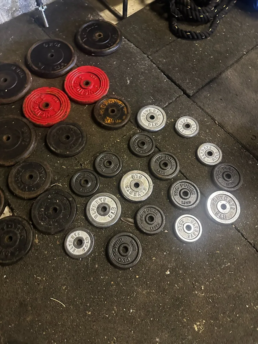 Weights and gym equipment - Image 4