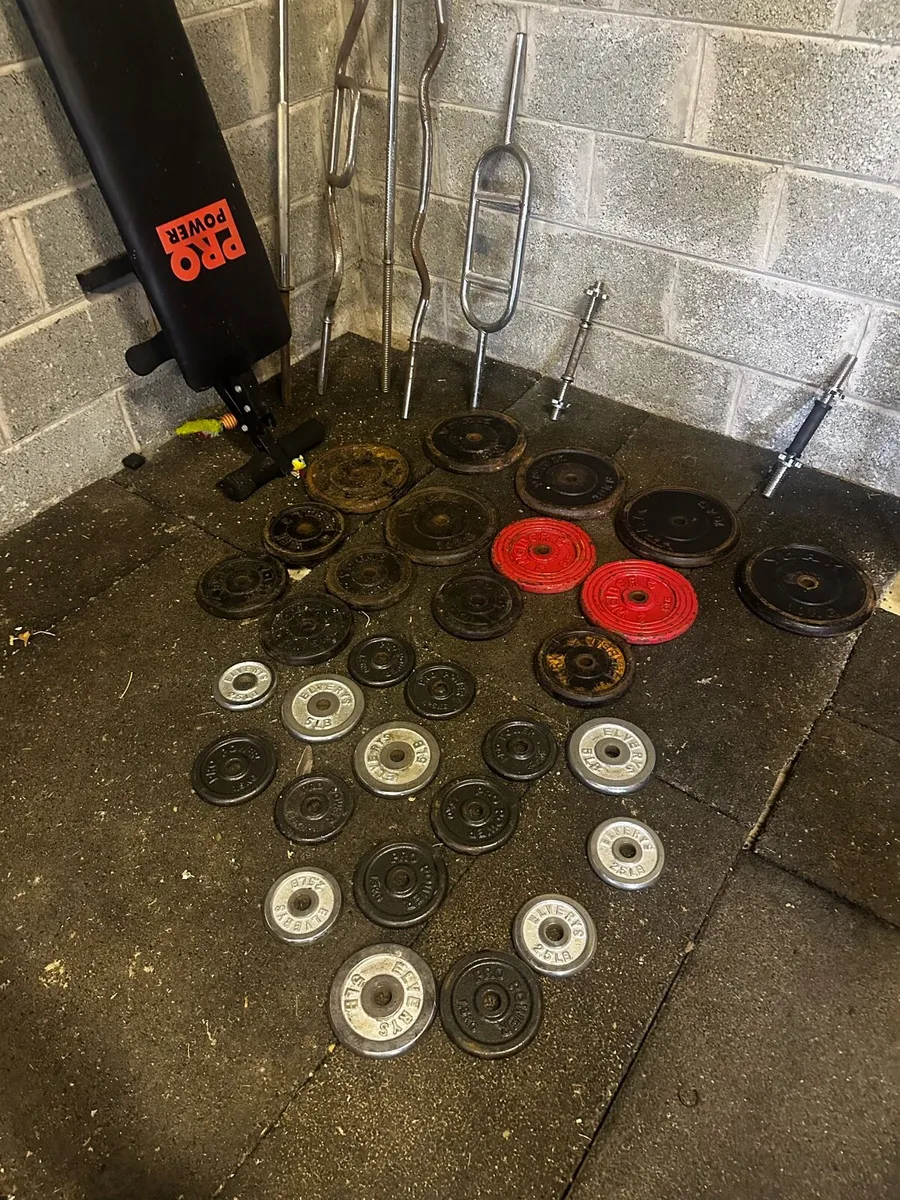 Weights and gym equipment - Image 2