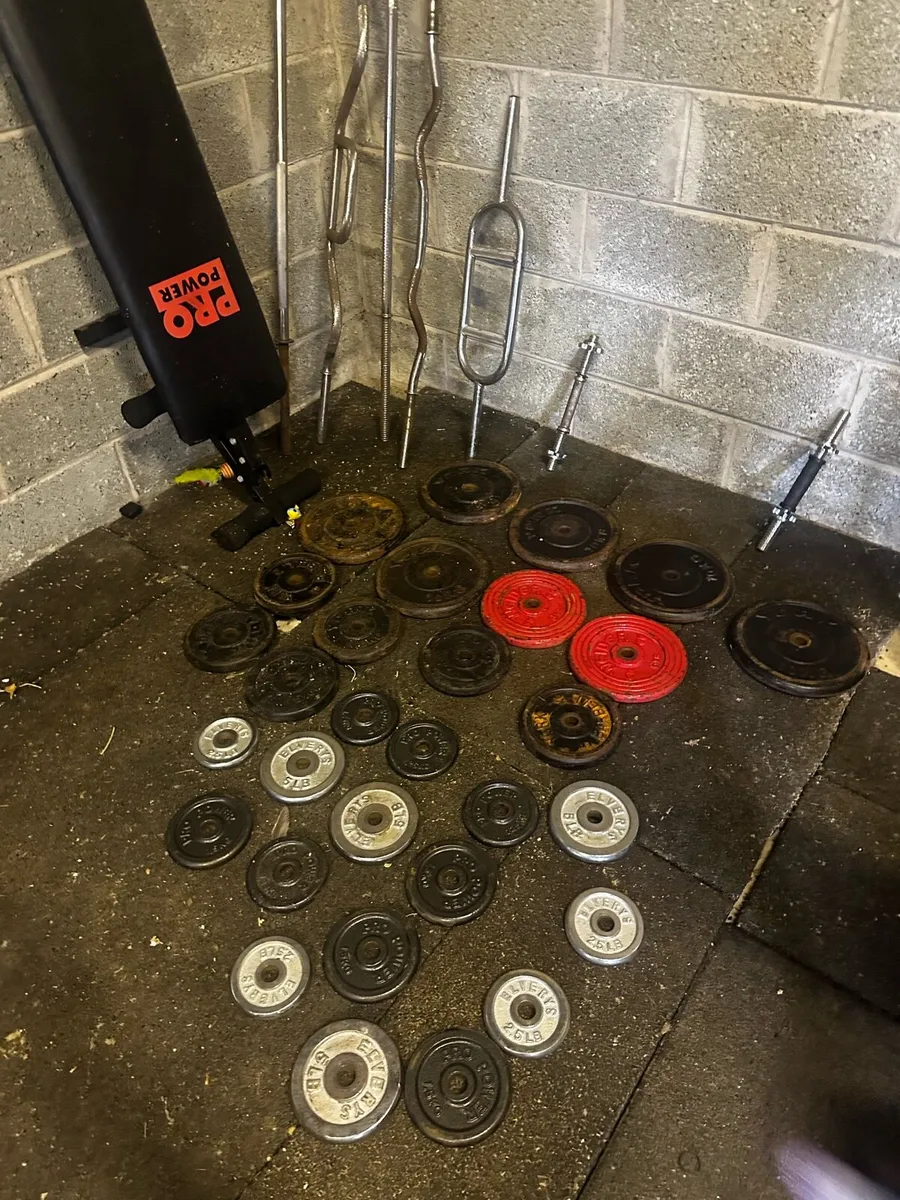Weights and gym equipment - Image 3
