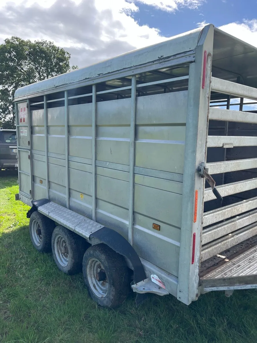 Hudson 12ftx6ft tri axle cattle trailer - Image 2