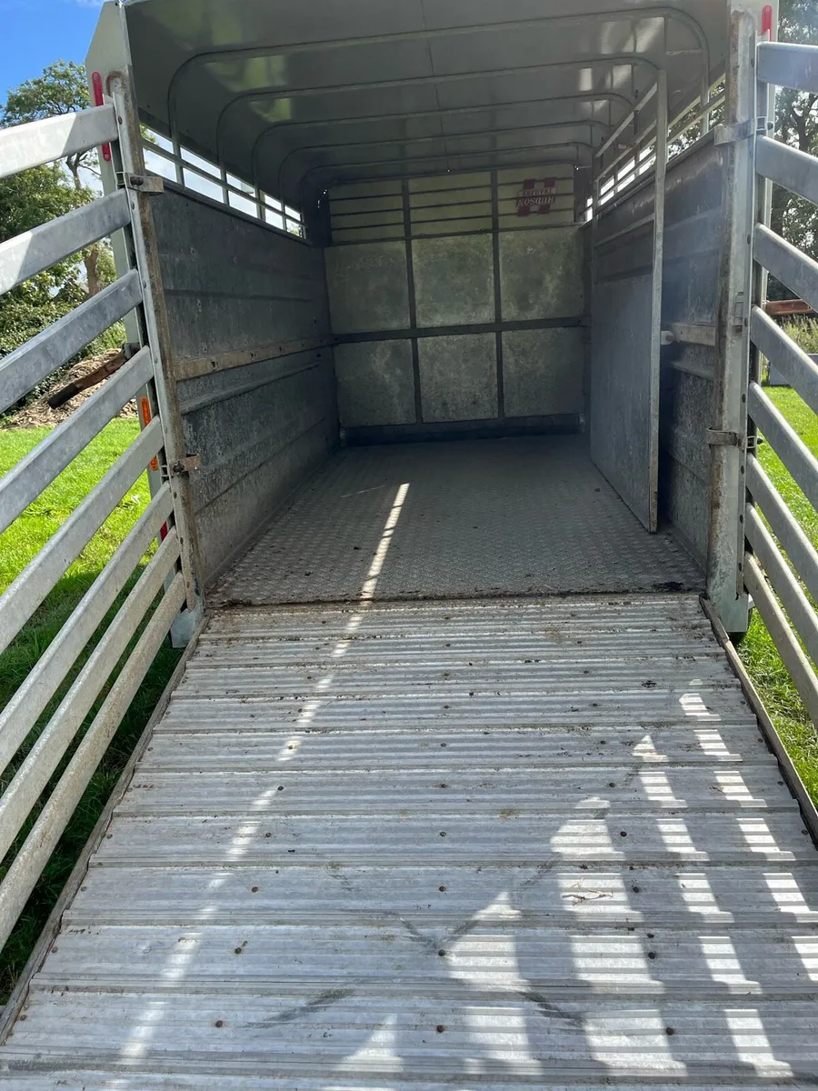 Hudson 12ftx6ft tri axle cattle trailer - Image 4