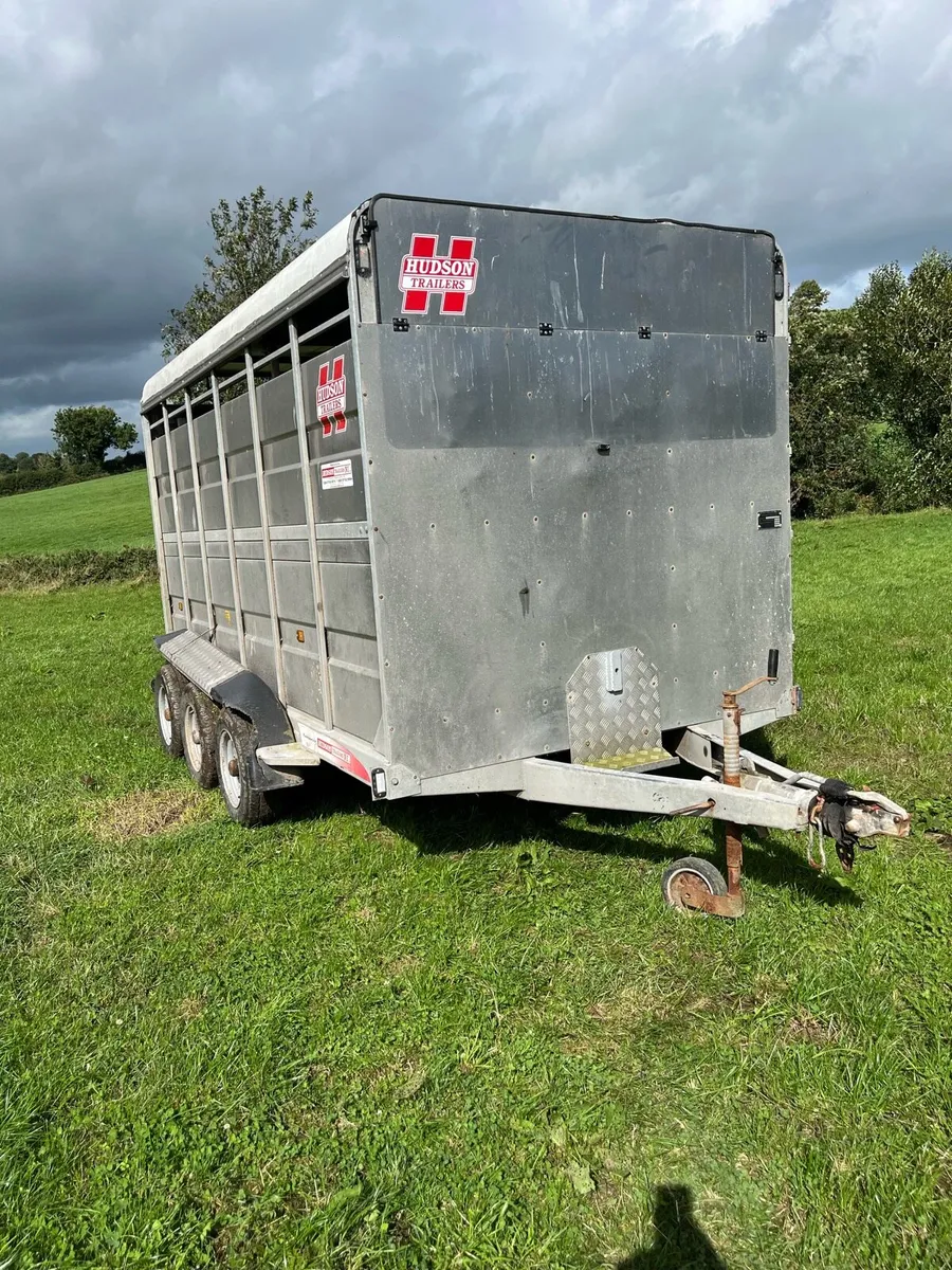Hudson 12ftx6ft tri axle cattle trailer - Image 1