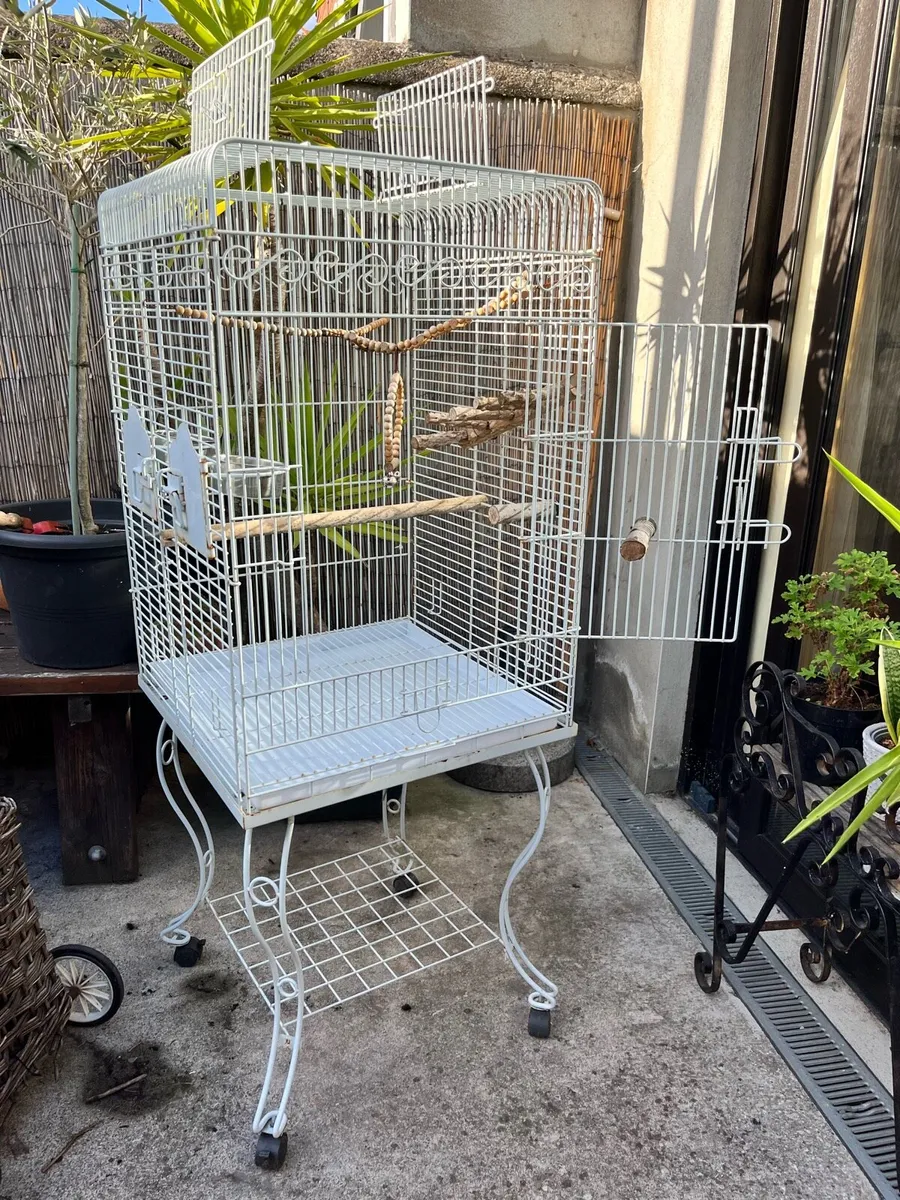 Bird Cage - Image 1