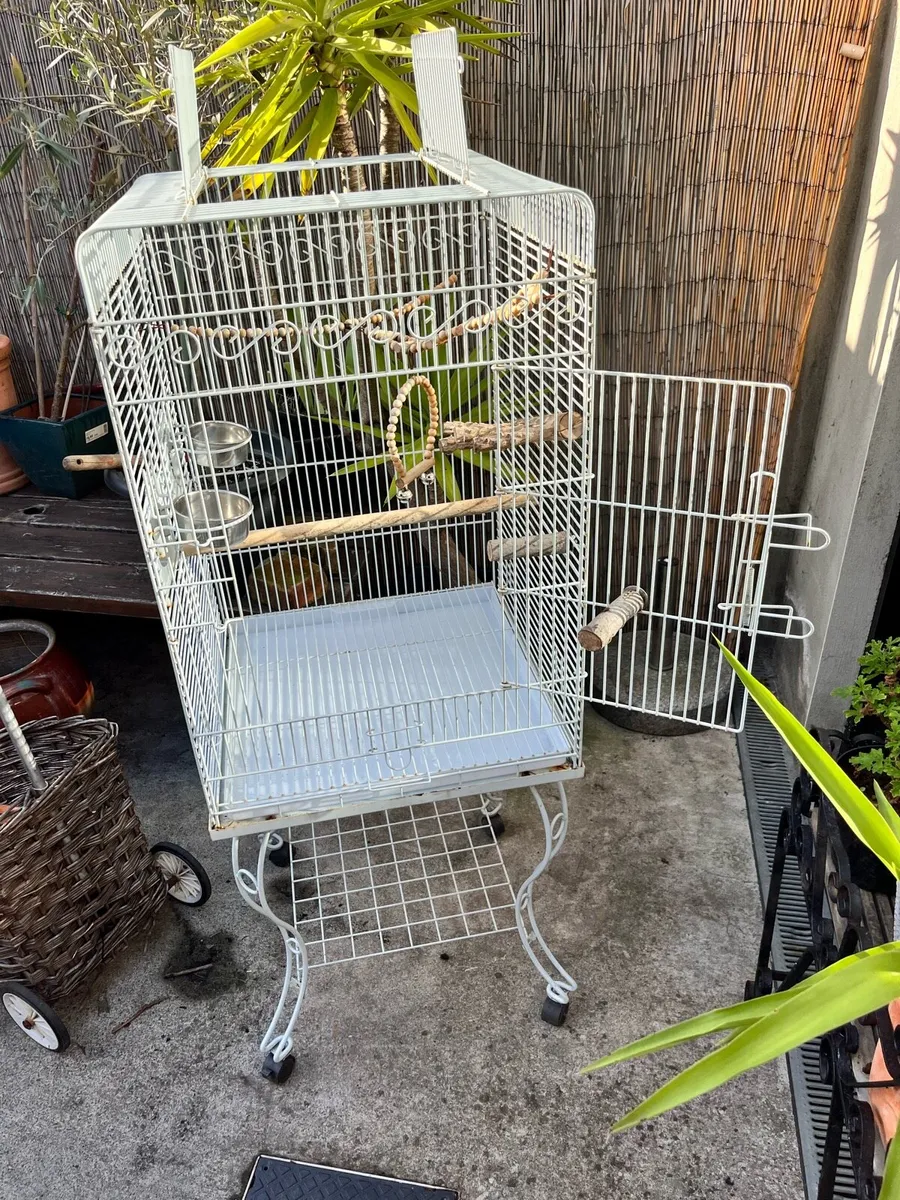 Bird Cage - Image 2