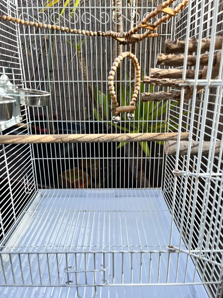 Bird Cage - Image 3