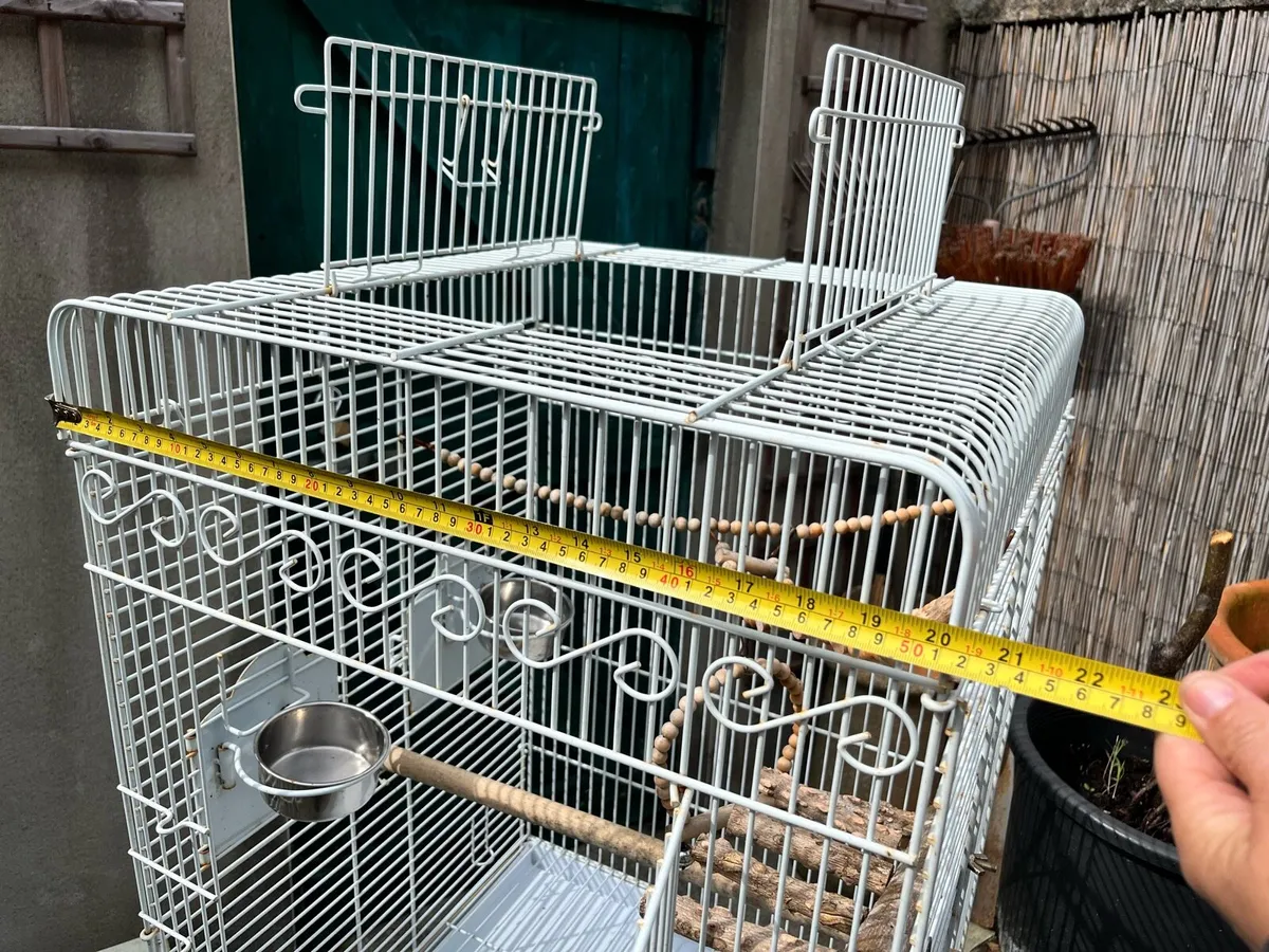 Bird Cage - Image 4