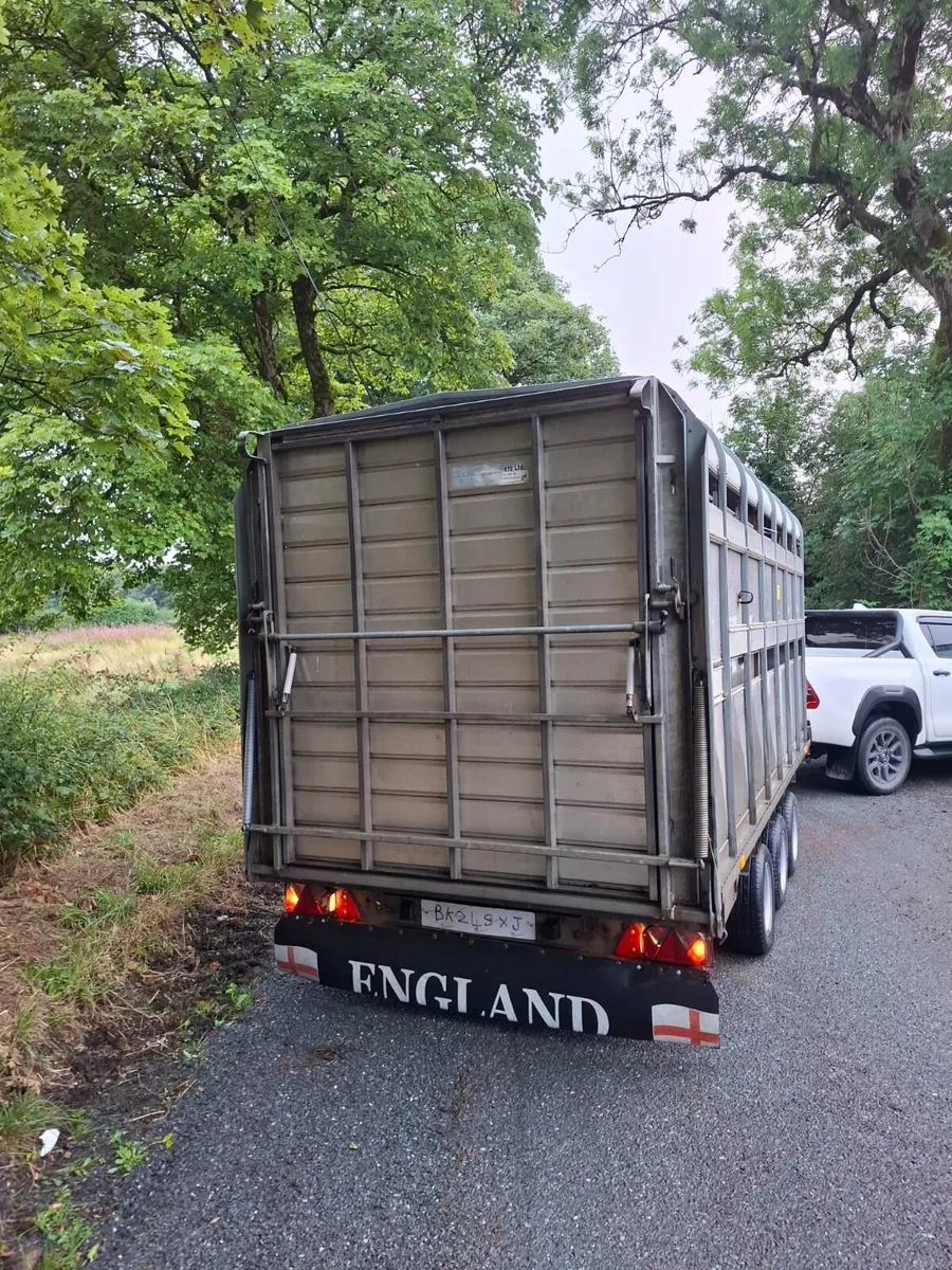 Ifor Williams Top c/w Sheep Decks - Image 3