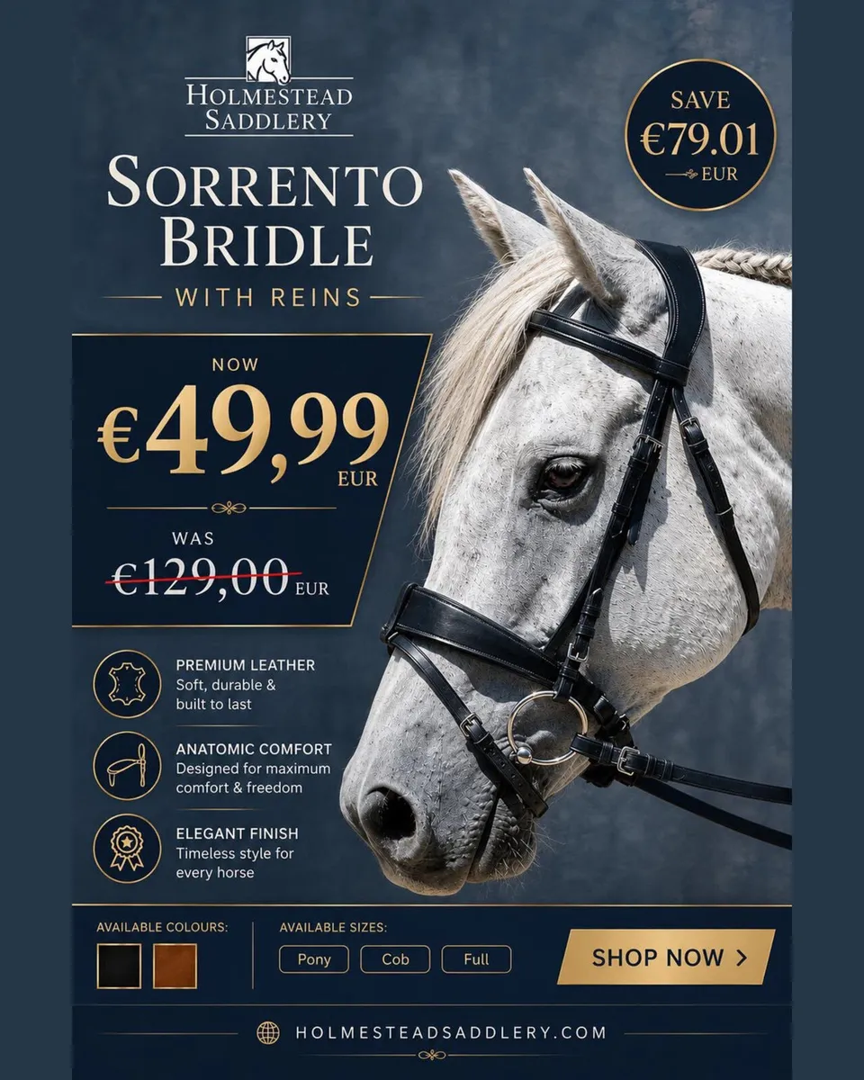 WOW 🩸 LOOK AT THESE BRIDLES ALL SIZES ✅ - Image 1