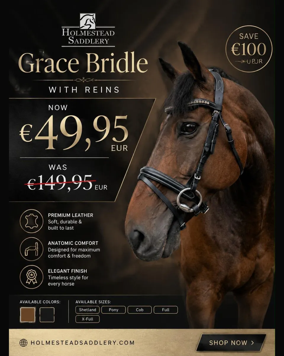 WOW 🩸 LOOK AT THESE BRIDLES ALL SIZES ✅ - Image 2