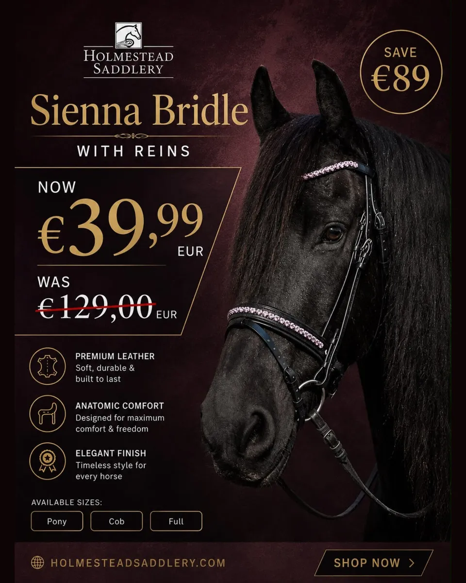 WOW 🩸 LOOK AT THESE BRIDLES ALL SIZES ✅ - Image 3