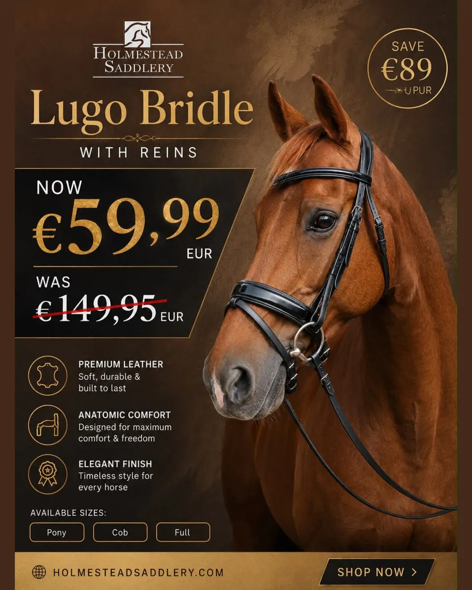 WOW 🩸 LOOK AT THESE BRIDLES ALL SIZES ✅ - Image 4