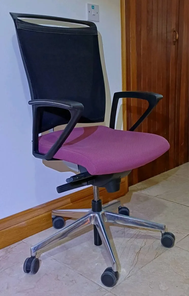 KASTEL Executive Office Chairs - Pink - Image 1