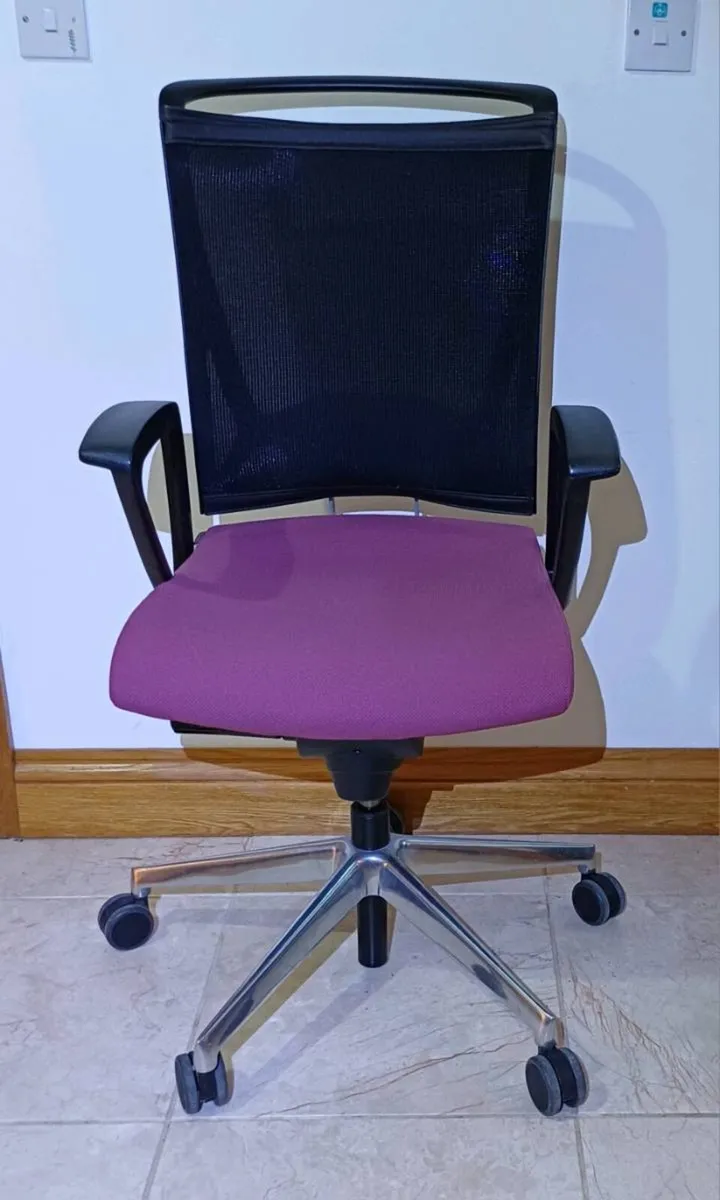 KASTEL Executive Office Chairs - Pink - Image 2