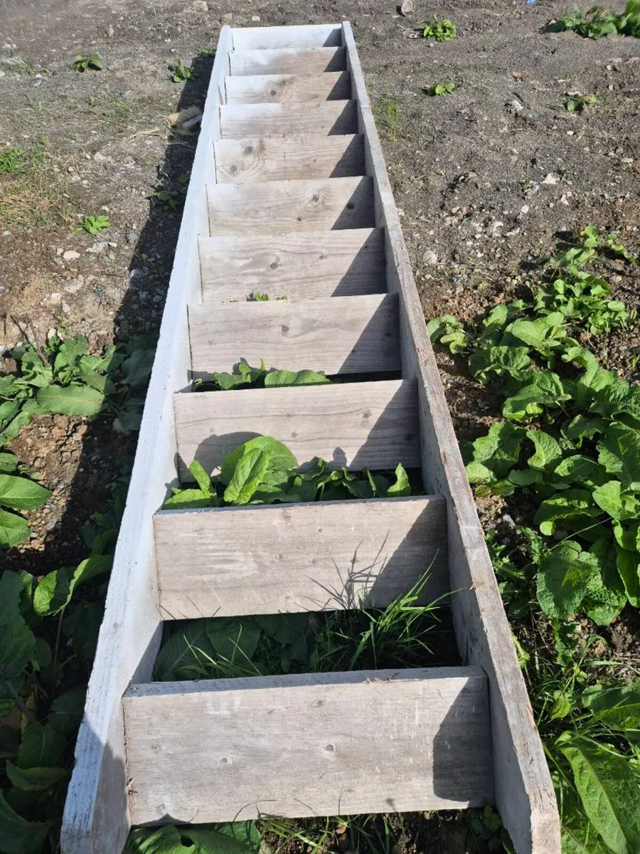 Temporary stairs - Image 1