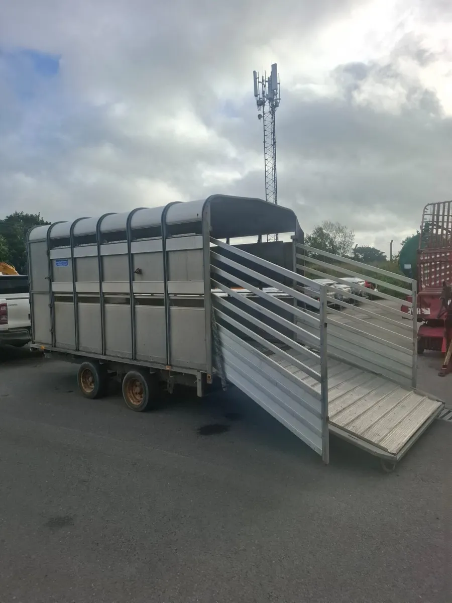 Ifor Williams 12'x6'6" c/w Sheep Decks - Image 3