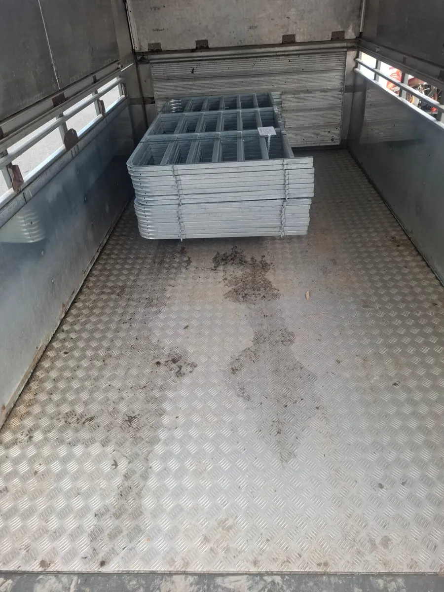Ifor Williams 12'x6'6" c/w Sheep Decks - Image 4