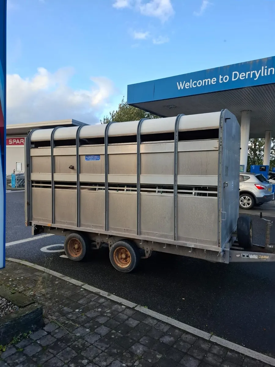 Ifor Williams 12'x6'6" c/w Sheep Decks - Image 1