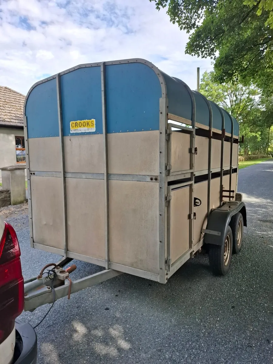 Crooks 10'x5' Cattle Trailer - Image 3