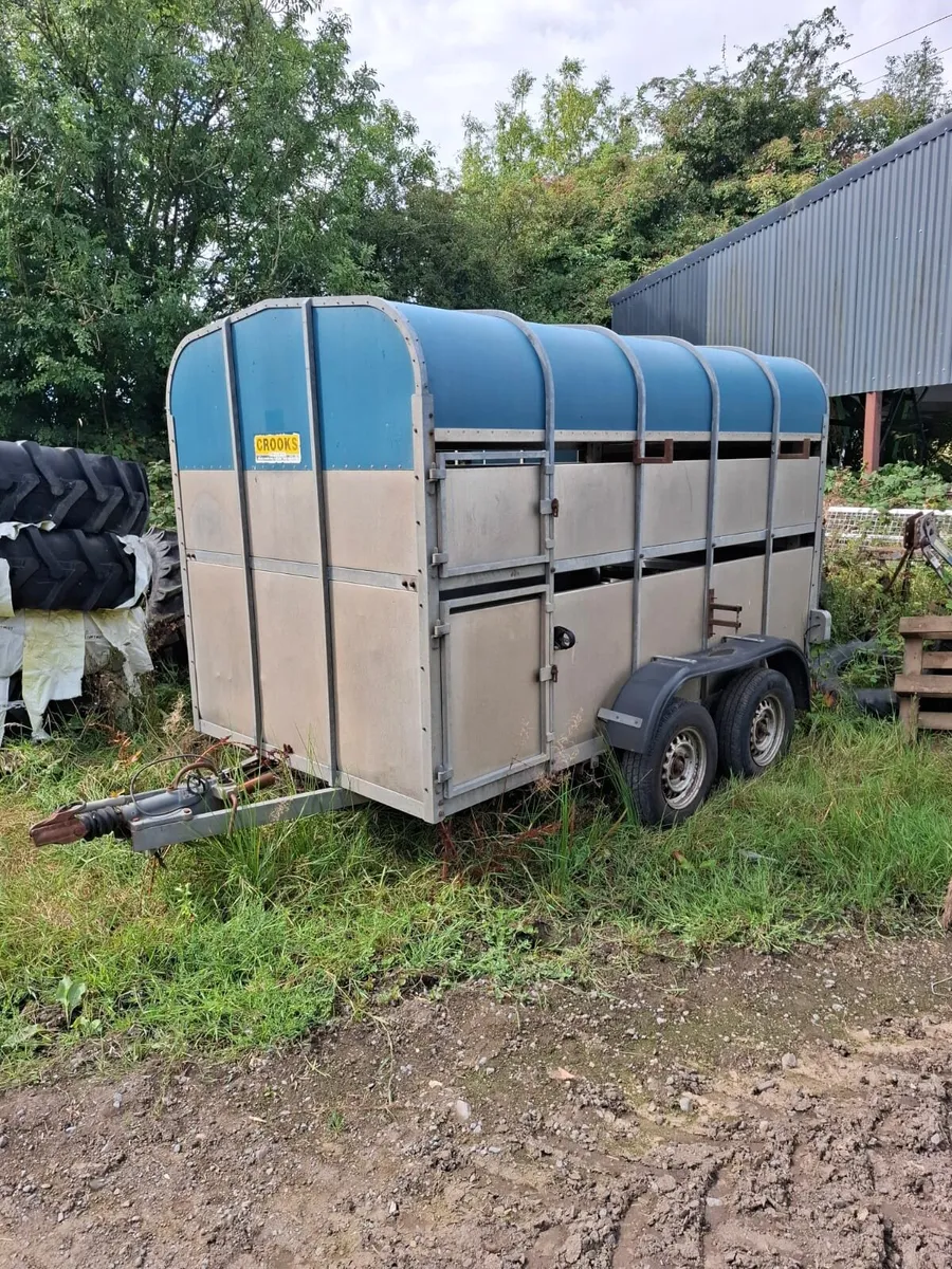 Crooks 10'x5' Cattle Trailer - Image 4