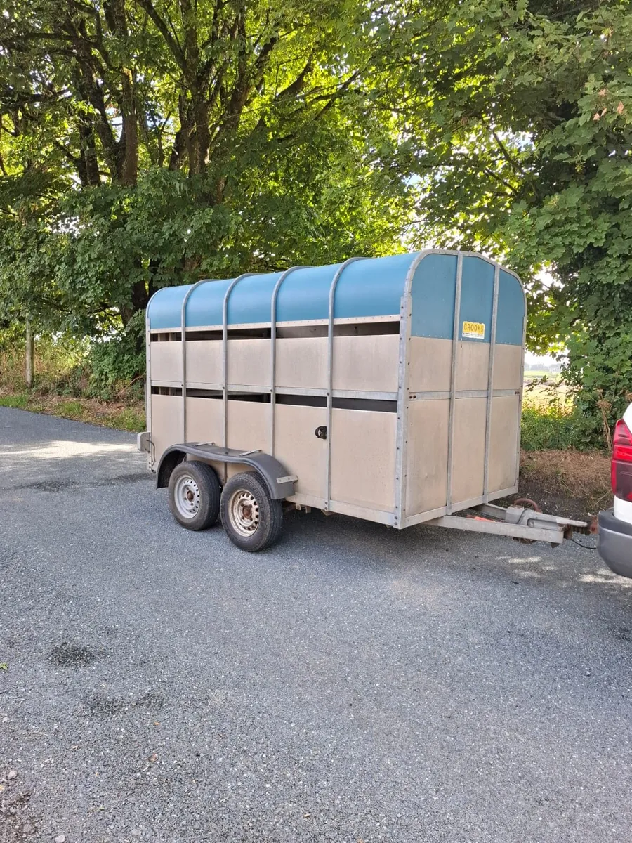 Crooks 10'x5' Cattle Trailer - Image 1